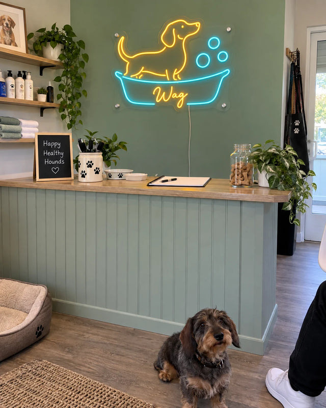 Pet grooming — Bubble Pup — Wag — Pet grooming · Wag · graphic-led shop scene